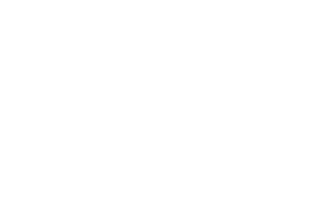 BRANDSHIP